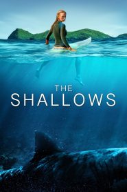 The Shallows 2016 مترجم